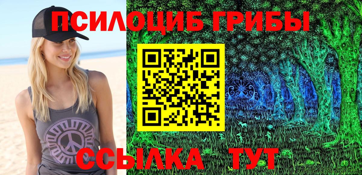 Галлюциногенные грибы мицелий  Вход с VPN  Кинель 